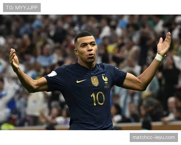 法国队再夺世界杯冠军，成就双冠伟业彰显强大竞争力