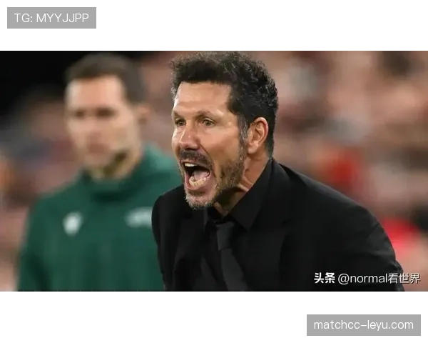 西蒙尼铁血风格战术解析